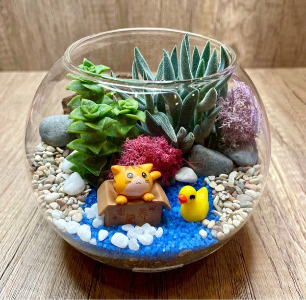 Sweet Rescue Cat & Duck in Pond Garden Succulent Terrarium in Small Round Bowl