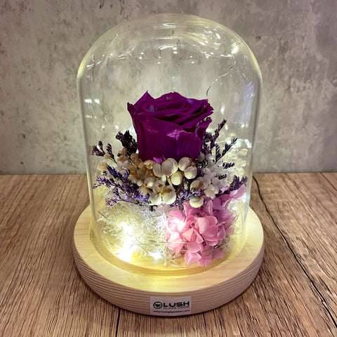 Violet Spark Eternal Rose Preserved Flower Glass Dome (Fairy Light)