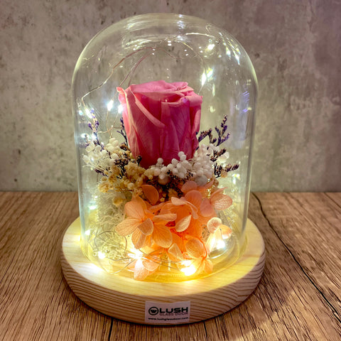 Pink Radiance Eternal Rose Preserved Flower Glass Dome (Fairy Light)