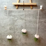 Customized Your Own Suspended Airplant Sea Urchins Paradise