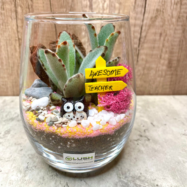 Awesome Teacher Succulent Terrarium