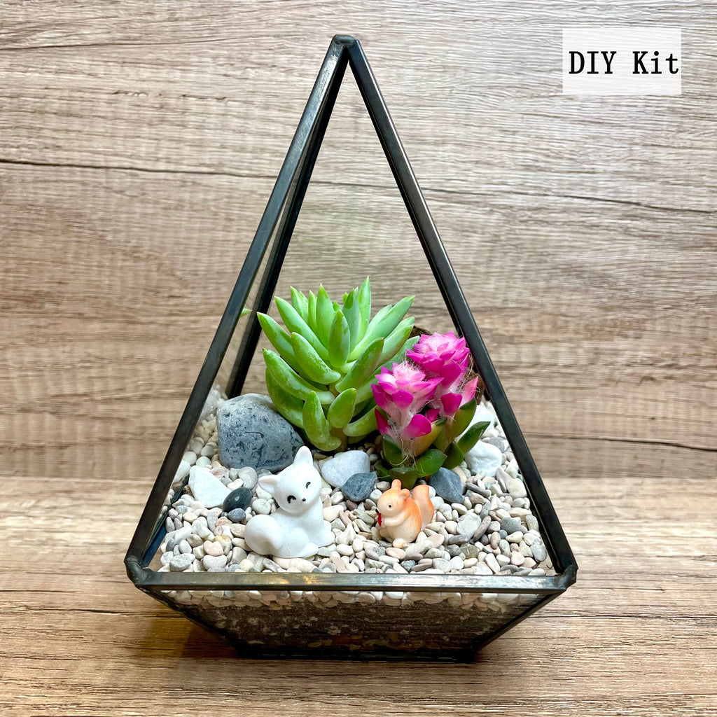 pyramid succulent Succulent Terrarium DIY Kit (Geometric Pyramid Glass) – Lush Glass Door