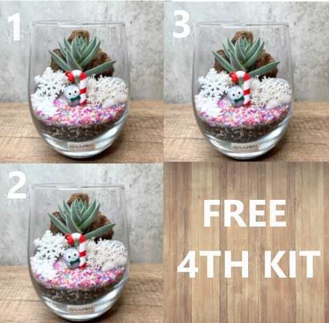 BUY 3 Get 1 FREE BUNDLE! Xmas Succulent Terrarium DIY Kits