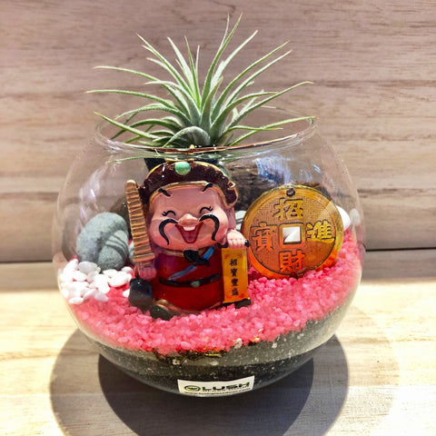 Cute Ceri Auspicious Airplant Terrarium by Lush Glass Door Singapore