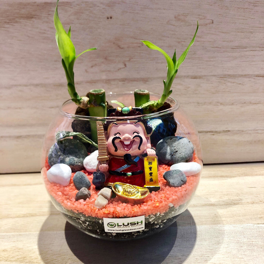 lucky bamboo in terrarium Miles Auspicious Lucky Bamboo Terrarium Created by Lush Glass Door, Singapore's Terrarium One Stop Online Shop