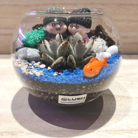 Ted Succulent Terrarium in Small Round Bowl by Lush Glass Door Singapore 