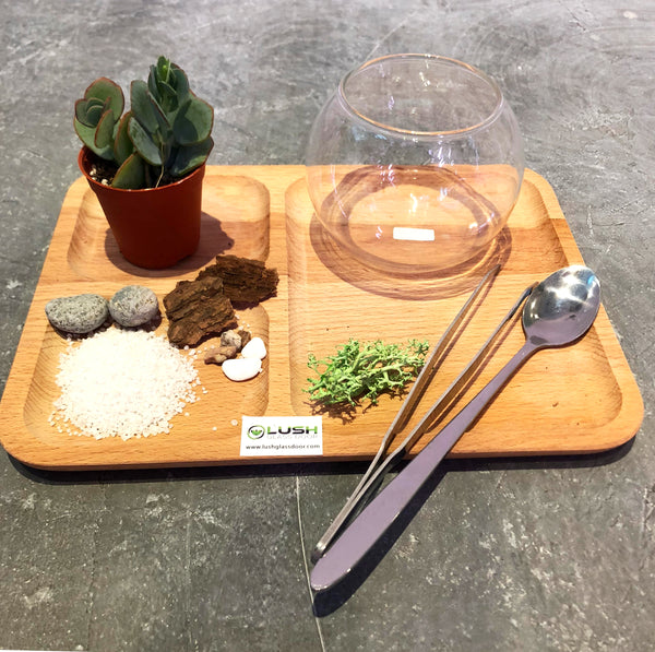 Terrarium Workshop Package A by Lush Glass Door