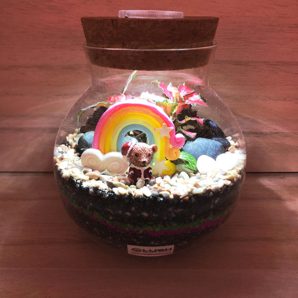 Jingle Bear Fittonia Terrarium with Light by Lush Glass Door