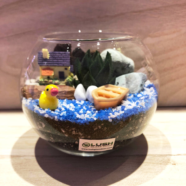 Customized Devlin Succulent Terrarium in Small Round Bowl by Lush Glass Door Singapore 