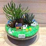 Customized 2 Sided Nellie Succulents Arrangement Mid Range Terrarium by Lush Glass Door Singapore