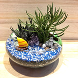 Customized 2 Sided Nellie Succulents Arrangement Mid Range Terrarium by Lush Glass Door Singapore