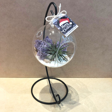 Customized Callie Airplant Hanging Globe Terrarium by Lush Glass Door Singapore