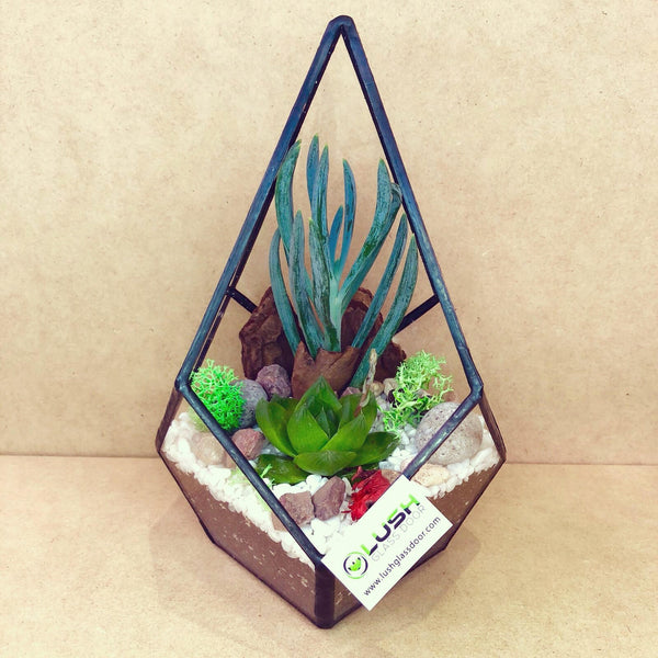 Customized Adria Succulents Arrangement in Teardrop Geometric Terrarium by Lush Glass Door Singapore