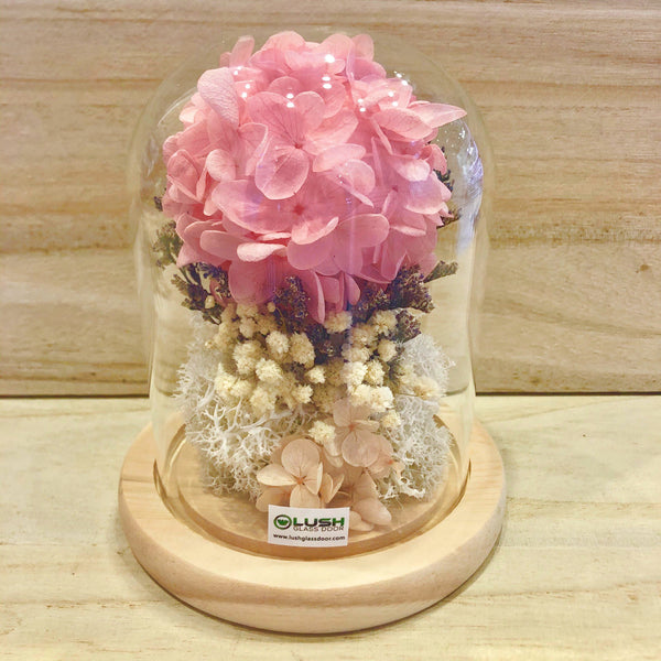 Pure Love Preserved Hydrangea Tree in Dome Glass