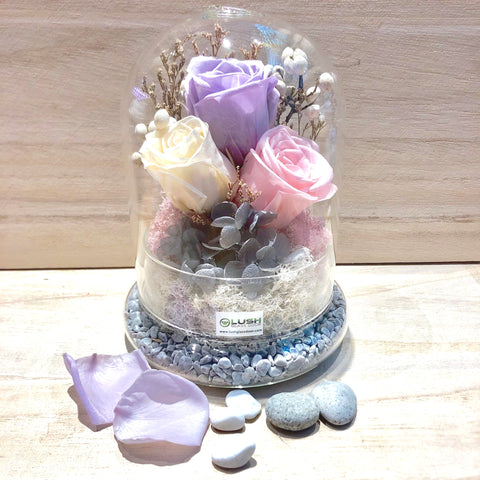 Fae Eternal Rose Preserved Flower Glass Dome
