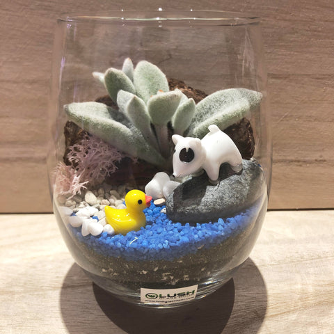 Customized Curious Doggie Checking out Turtle Themed Succulents Terrarium by Lush Glass Door Singapore