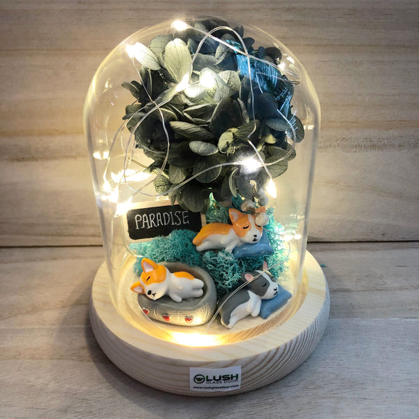 Solely For Dog Lovers in Dome Glass With Fairy Light
