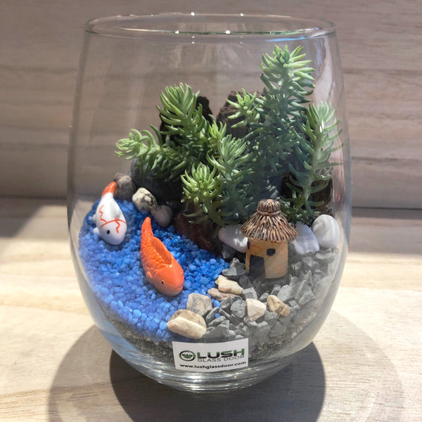 Happy Fishes Succulent Terrarium