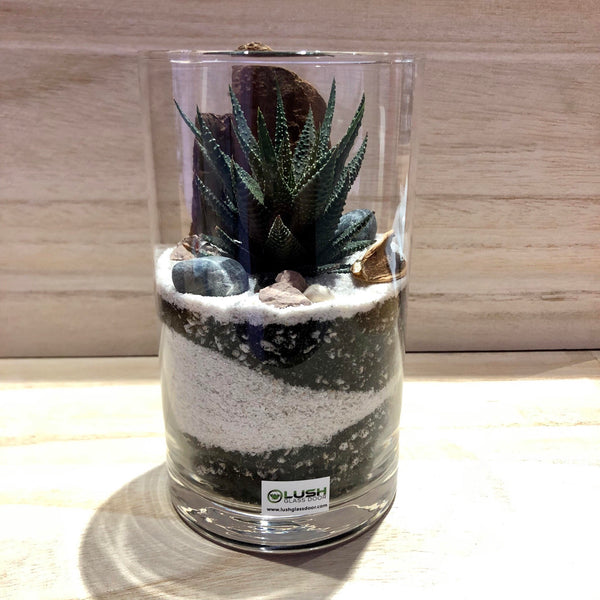 Jarred Modern Succulent Cylindrical Terrarium