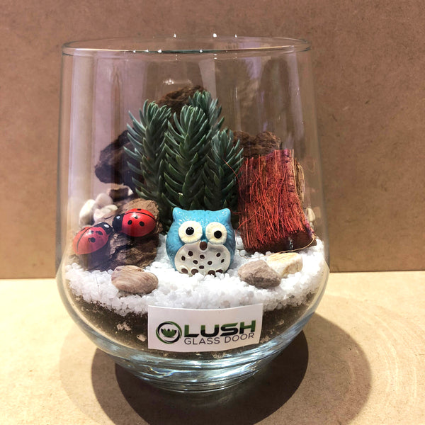 Customized Edward Succulent Terrarium by Lush Glass Door Singapore 