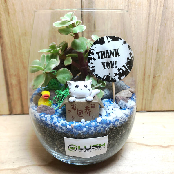 Customized Russell Succulent Terrarium by Lush Glass Door Singapore 