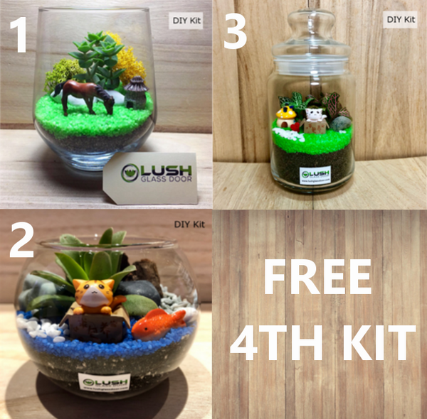 Buy 3 Get 1 Free! Stay Home Terrarium DIY Kits!
