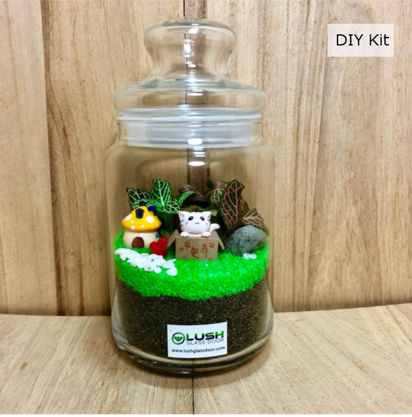 Design Your Own Fittonia Terrarium DIY Kit  by Lush Glass Door Singapore