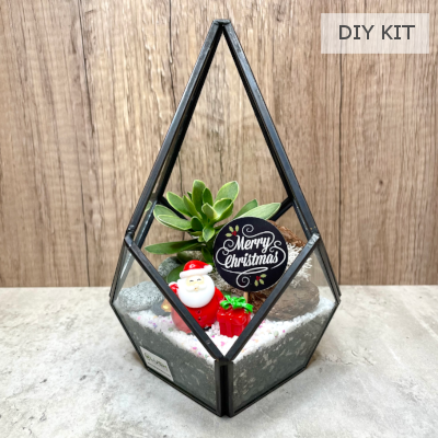 Xmas Succulent Teardrop Geometric Glass Terrarium DIY Kit