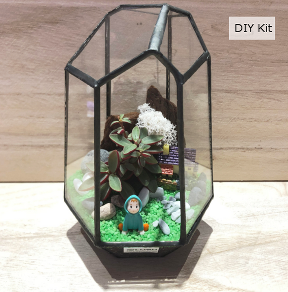Succulent Diamond Geometric Glass Terrarium DIY Kit by Lush Glass Door Singapore
