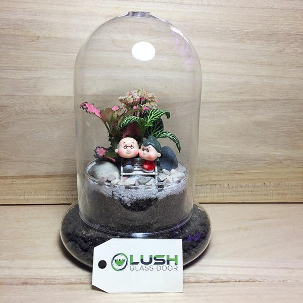 Customized Blissful Old Couple Themed Fittonia Dome Terrarium by Lush Glass Door Singapore