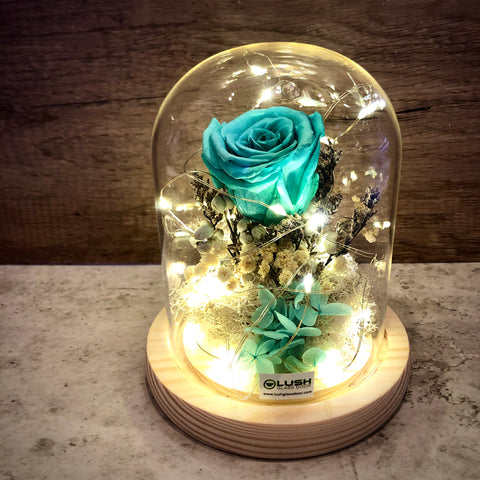 Romantic Cyan Eternal Rose Preserved Flower Glass Dome (Fairy Light)
