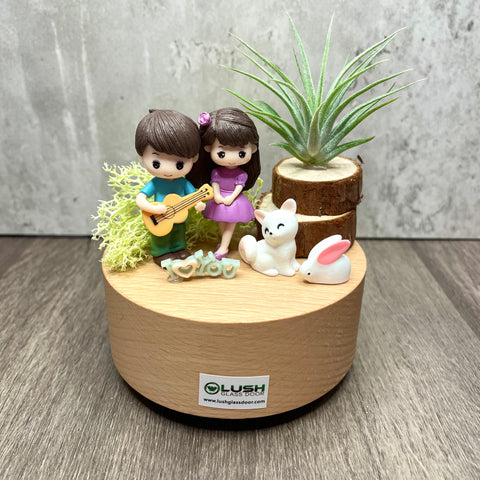 Airplant Music Box by Lush Glass Door Singapore