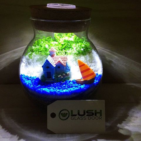 Customized Seaside Themed Moss Terrarium with Light by Lush Glass Door Singapore