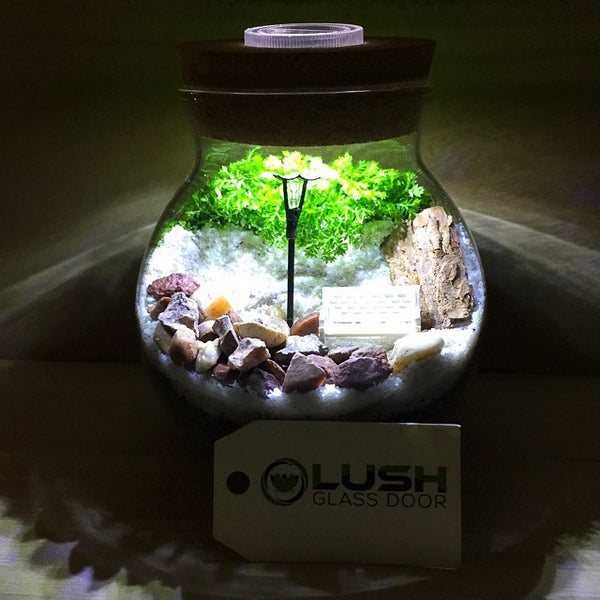 Customized Beach Side Themed Moss Terrarium with Light by Lush Glass Door Singapore