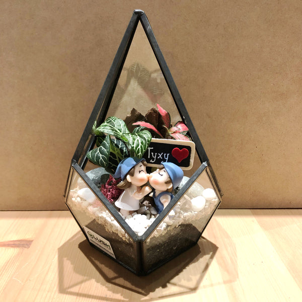 Mathias Fittonia Arrangement in Teardrop Geometric Terrarium