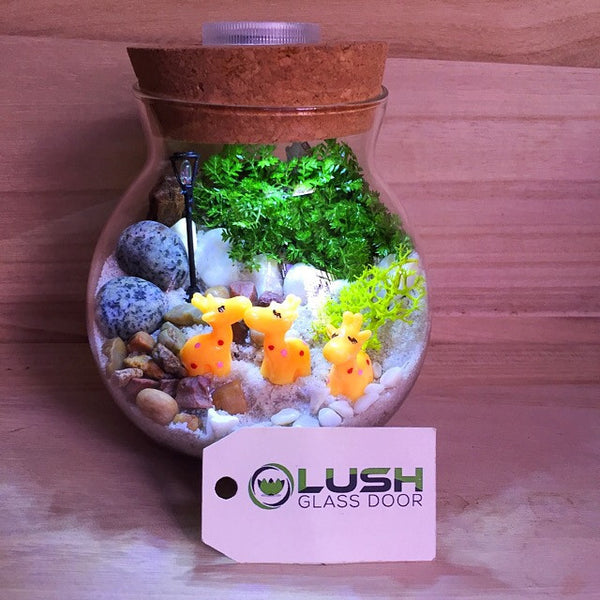 Customized Madagascar Themed Moss Terrarium with Light by Lush Glass Door Singapore