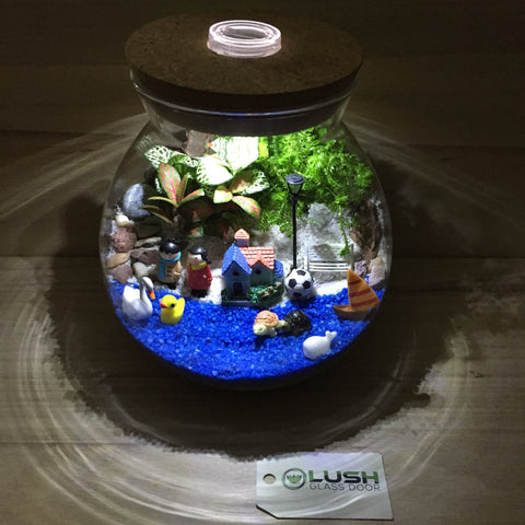 Customized Happenings at the Sea Themed Fittonia Terrarium with Light by Lush Glass Door Singapore