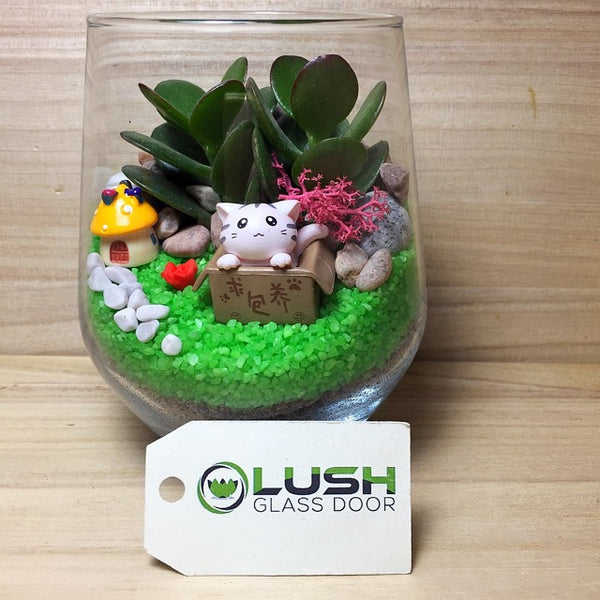 Customized Cute Cat in the Box Themed Succulents Terrarium by Lush Glass Door Singapore