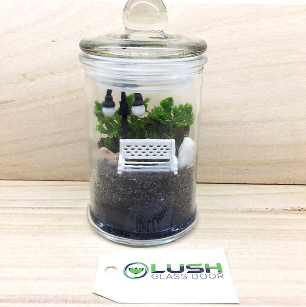 Teacher's Day Special! White Bench at Park Themed Live Moss in Mini Glass Jar Terrarium by Lush Glass Door