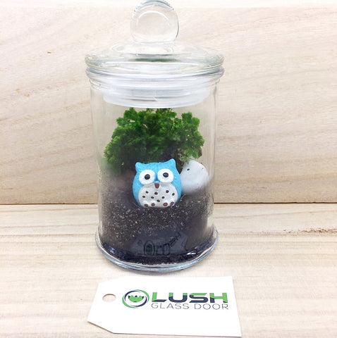 Customized Owlie Themed Moss Terrarium by Lush Glass Door Singapore