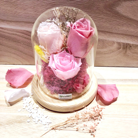 Customized Calista Eternal Rose Preserved Flower Glass Dome by Lush Glass Door Singapore 