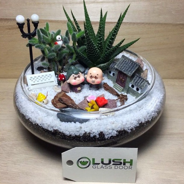 Succulent Terrarium Workshop Package F by Lush Glass Door