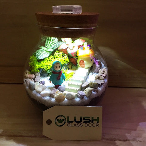 Customized Girl by The Stairs Themed Fittonia Terrarium with Light by Lush Glass Door Singapore