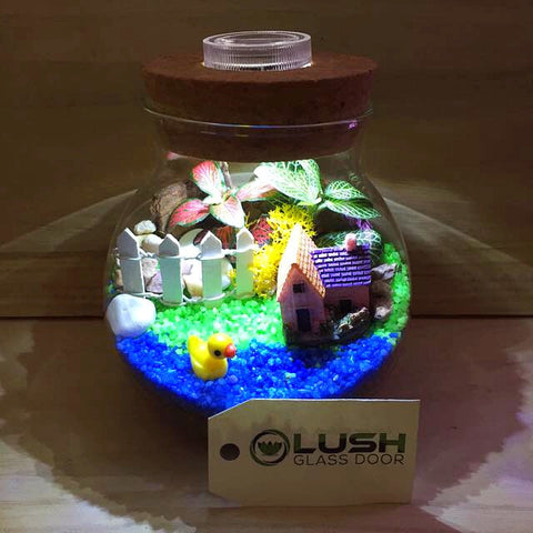 Customized By the Pond Themed Fittonia Terrarium with Light by Lush Glass Door Singapore