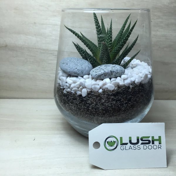 Customised Mathias Zen Themed Succulent Terrarium by Lush Glass Door Singapore