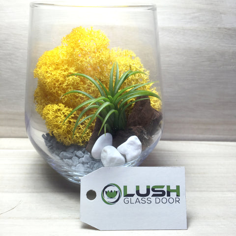 Customised Airplant Terrarium by Lush Glass Door Singapore