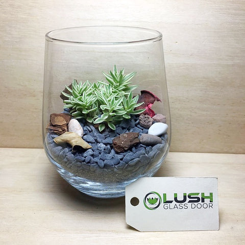 Customised Simplicity Zen Themed Succulent Terrarium by Lush Glass Door Singapore