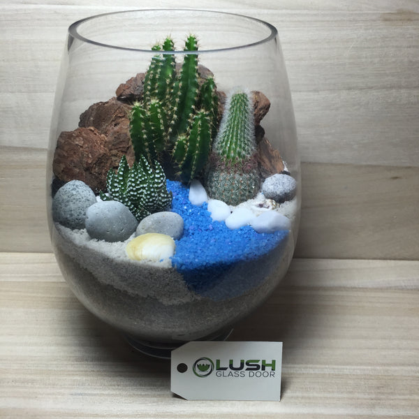 Customized Heath Scenic Succulents Terrarium by Lush Glass Door Singapore