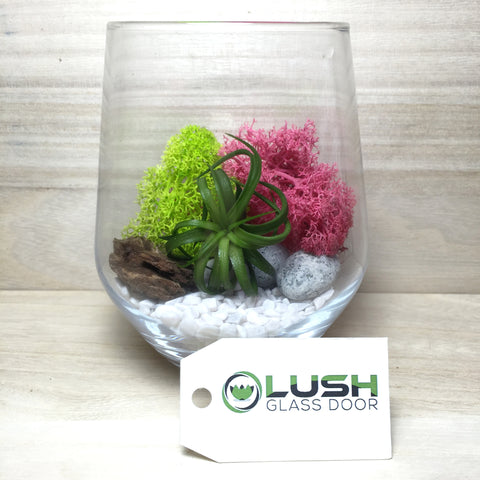 Customised Airplant Terrarium by Lush Glass Door Singapore