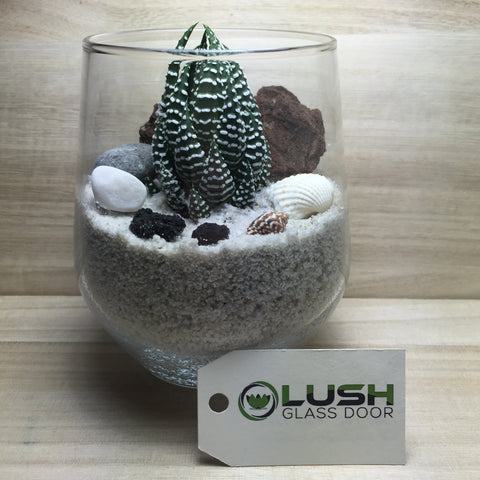 Customised Branson Zen Themed Succulent Terrarium by Lush Glass Door Singapore